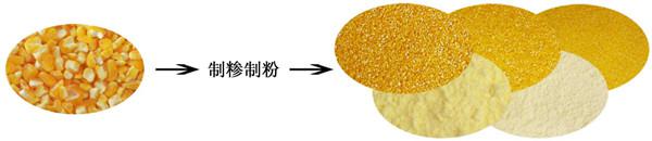 YMSJ系列玉米超精制糝機(jī)