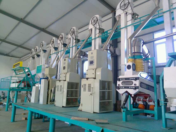 日產(chǎn)50噸小米加工設(shè)備