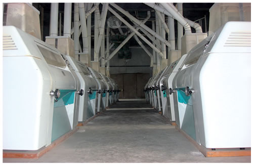 150噸小麥磨粉設備