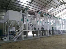 200噸成套大米加工設備